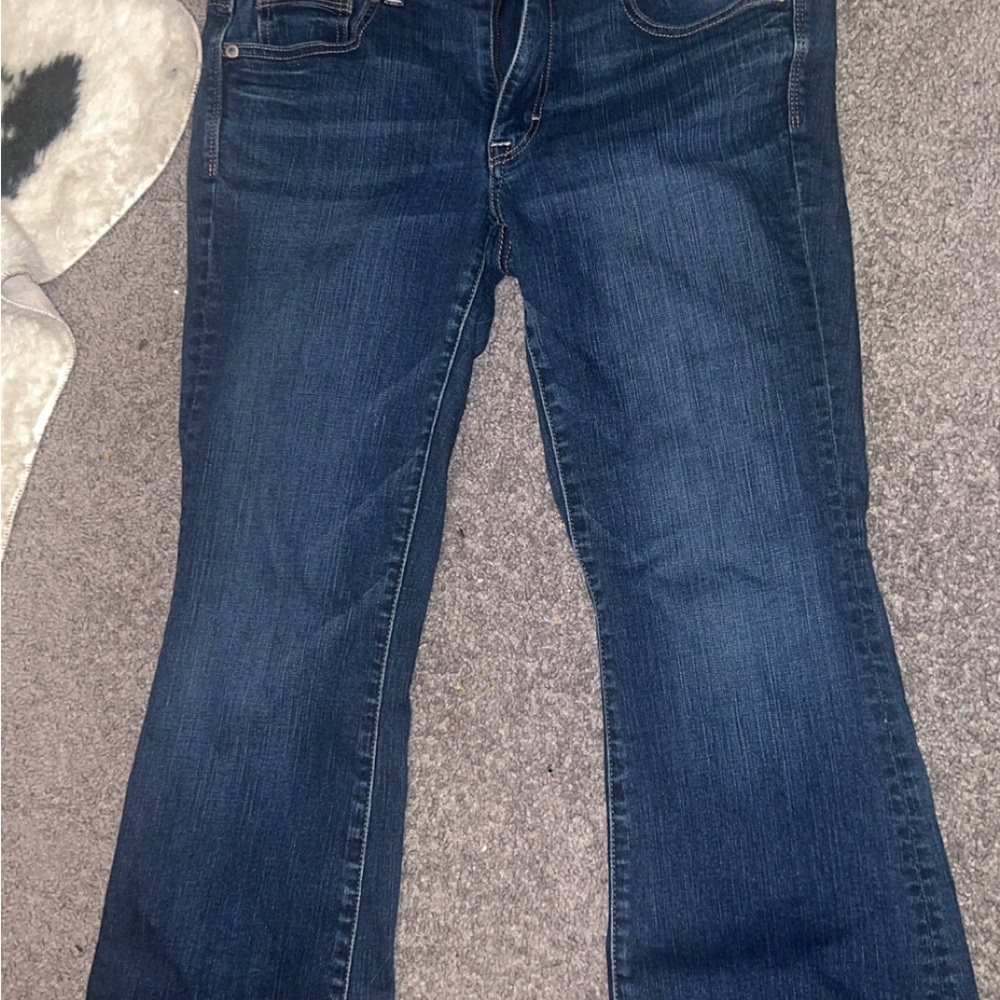 American Eagle Outfitters Dark Blue Flare Jeans